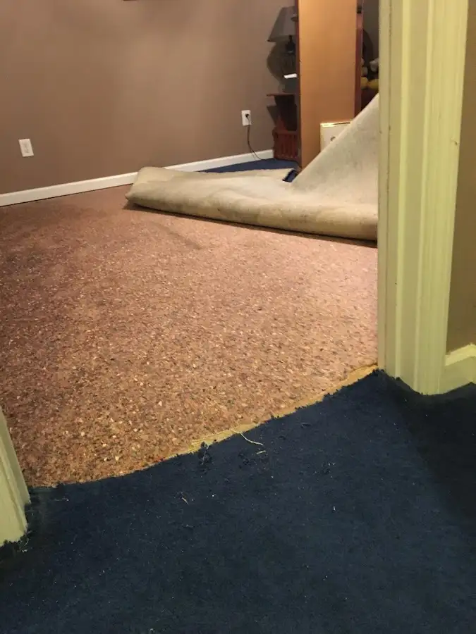 Carpet pad removal revealing water damage during Water Mitigation Services in Garwood