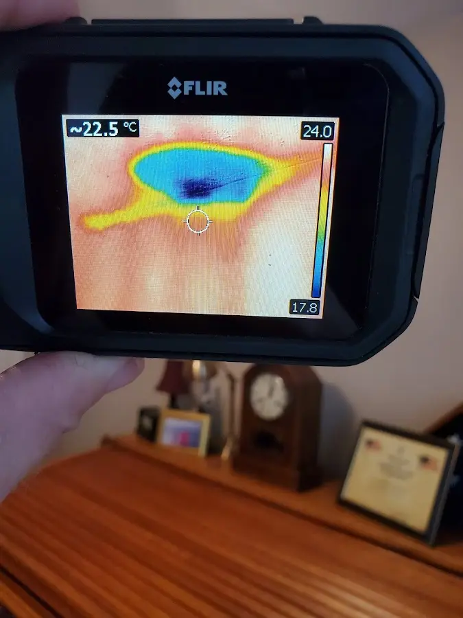 Thermal imaging inspection for water damage in Garwood
