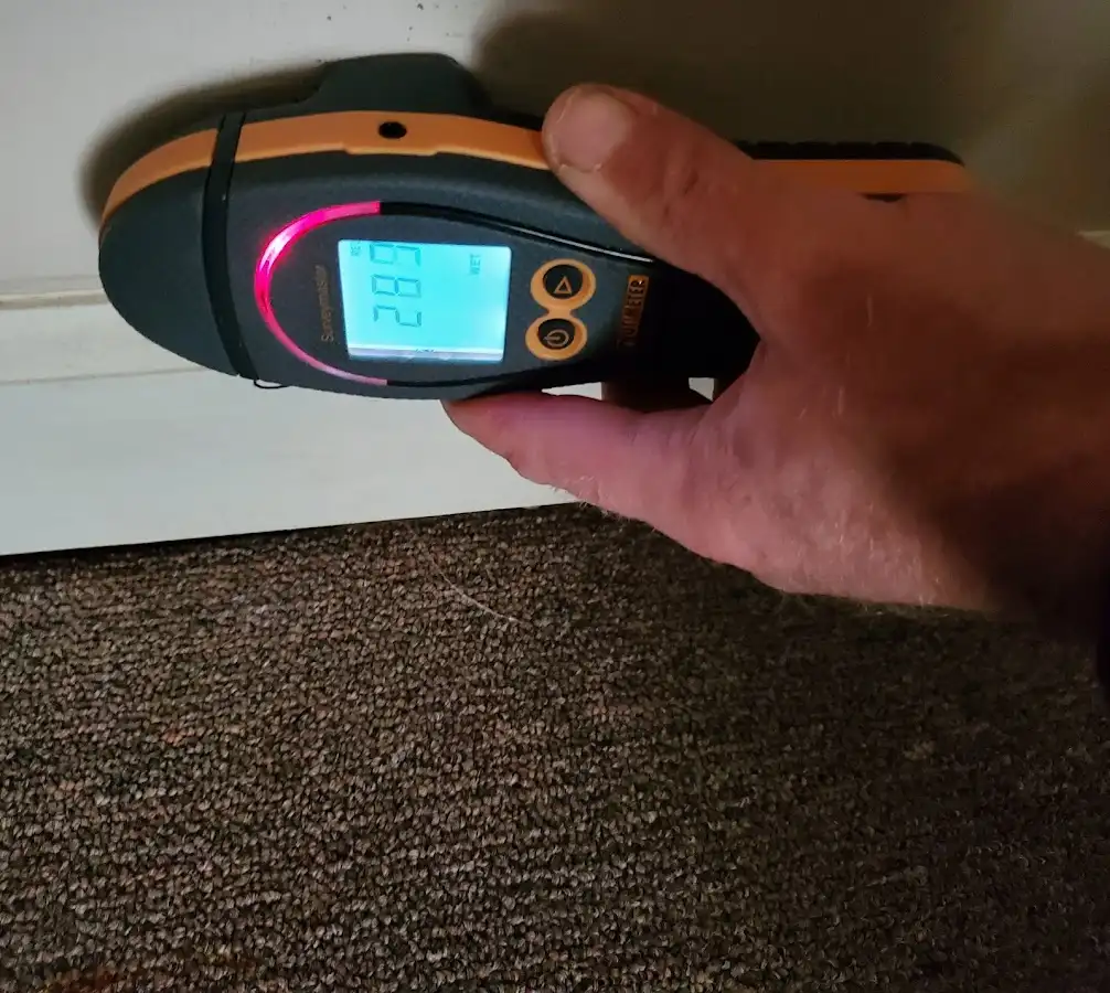 Moisture detection at baseboard during Sewage Cleanup & Sanitation in Garwood